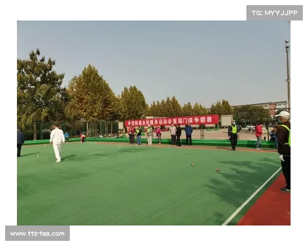 2018年门球国际赛事全景回顾展现门球运动的魅力与竞技精神