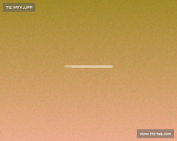 KSW格斗赛事规则全方位剖析保障安全公平竞争与选手防护核心准则