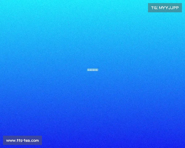 国际搏击干嘛呢